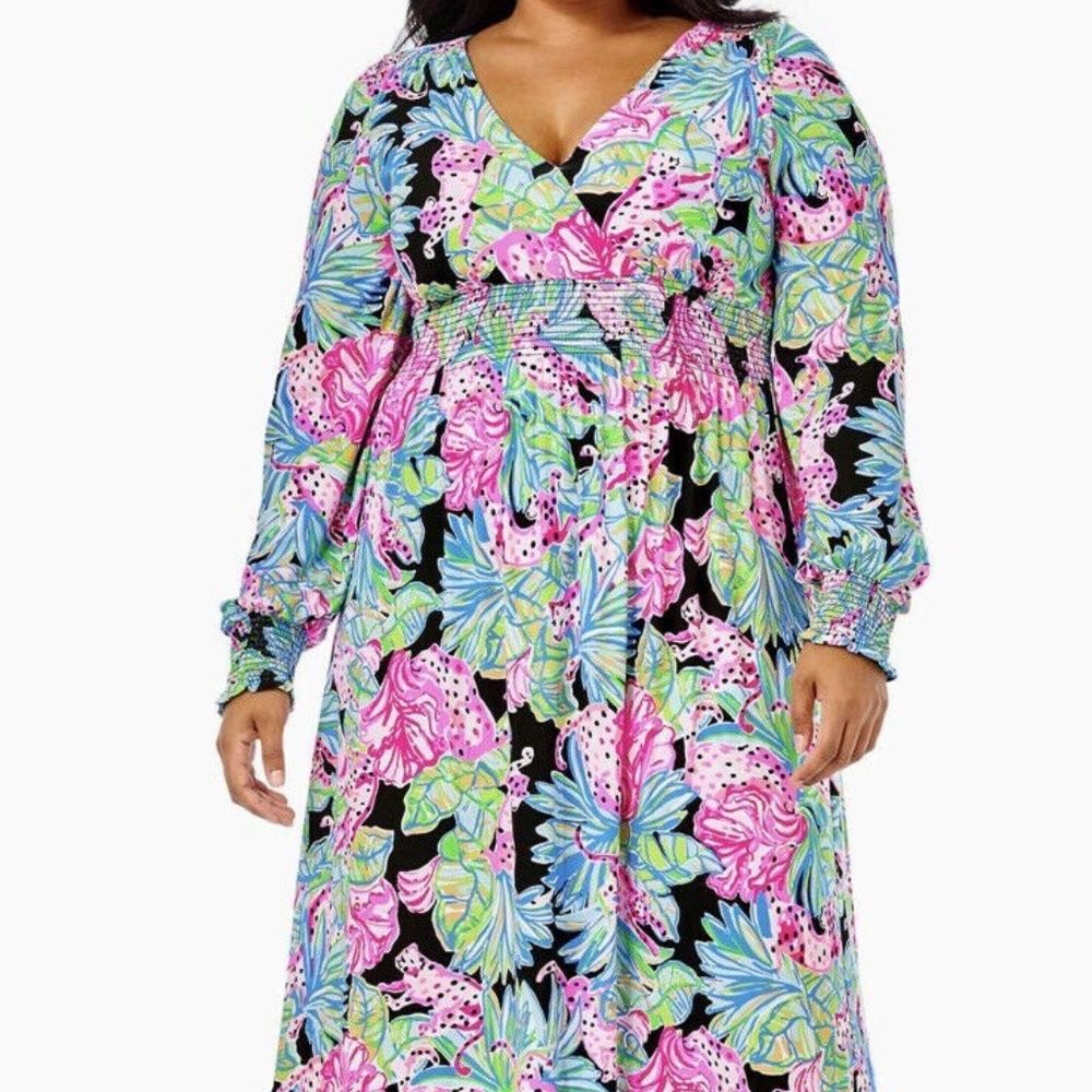 NWT Lilly Pulitzer Mistral Maxi Dress